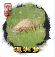 劍三奇遇大全-劍三奇遇觸發(fā)前置條件-劍網(wǎng)3所有奇遇攻略