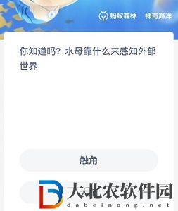 神奇海洋8月18日答案-水母靠什么感知世界