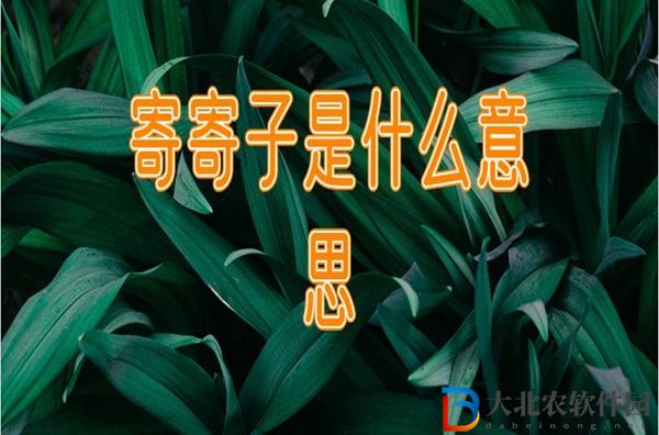 寄寄子是什么意思-寄寄子梗來源出處