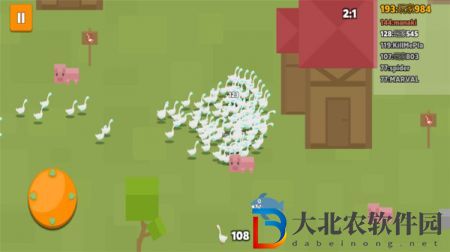 咕咕鴿