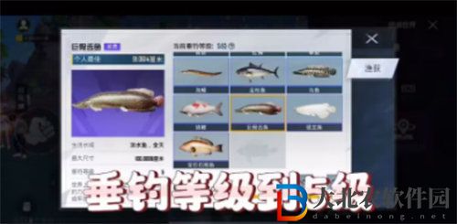 和平精英巨骨舌魚在哪釣 和平精英巨骨舌魚釣點詳情介紹