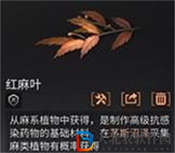 明日之后紅麻葉獲取方法攻略