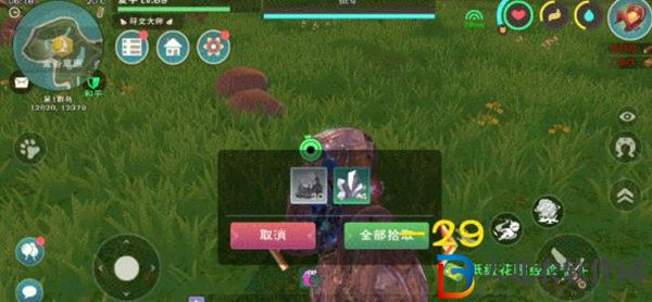 創(chuàng)造與魔法采集工廠能采集什么東西