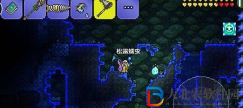 泰拉瑞亞松露蟲捕捉攻略