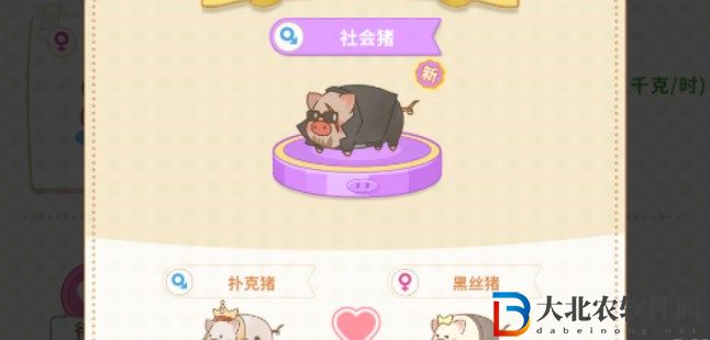 陽光養(yǎng)豬場(chǎng)獲取高品質(zhì)豬配種攻略 怎么獲得高品質(zhì)豬