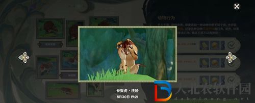 原神動(dòng)物行為有哪些-原神動(dòng)物行為一覽