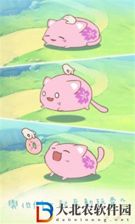 麻薯貓收藏