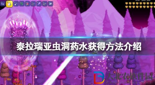 《泰拉瑞亞》蟲洞藥水怎么獲得 蟲洞藥水獲得途徑一覽