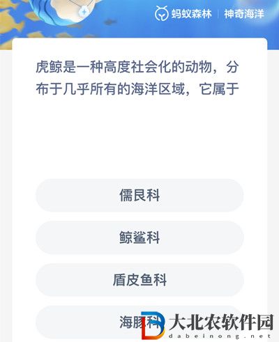 神奇海洋6月21日答案-虎鯨是一種高度社會(huì)化的動(dòng)物分布于幾乎所有的海洋區(qū)域它屬于