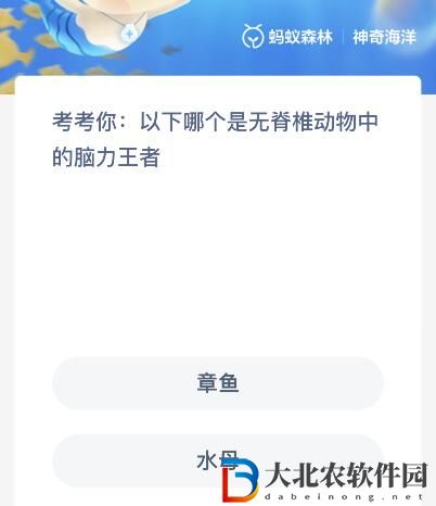 神奇海洋今日答案最新8.23-章魚和水母哪個是無脊椎動物中的腦力王者