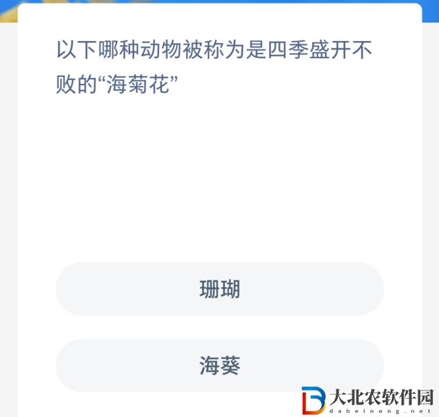 神奇海洋今日答案7.30-以下哪種動物被稱為是四季盛開不敗的海菊花