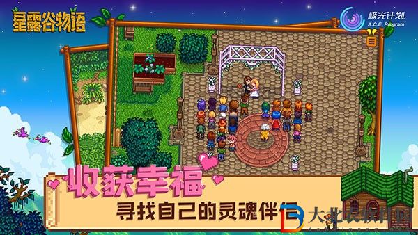 星露谷物語楓姨美化版