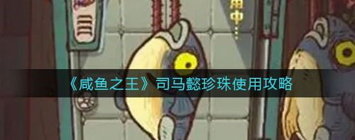 咸魚之王司馬懿珍珠使用攻略介紹