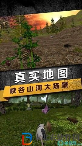 蜘蛛生存模擬器