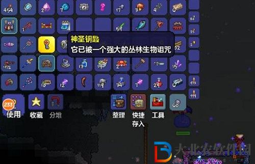 泰拉瑞亞神圣鑰匙詳情作用介紹
