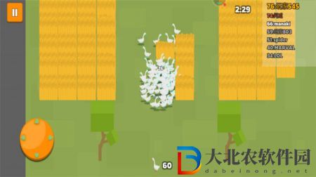 咕咕鴿