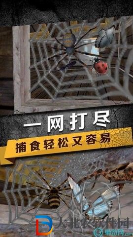 蜘蛛生存模擬器