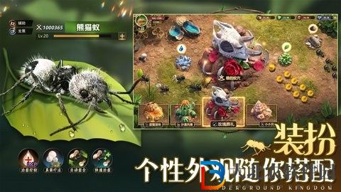 小小蟻國