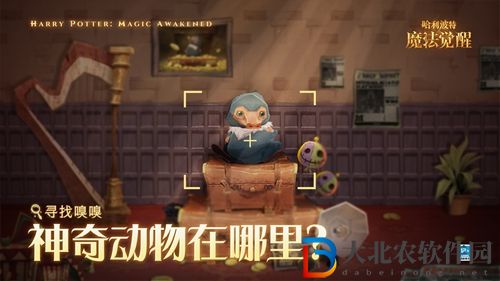 哈利波特魔法覺醒綻放舞會怎么玩-綻放舞會玩法介紹