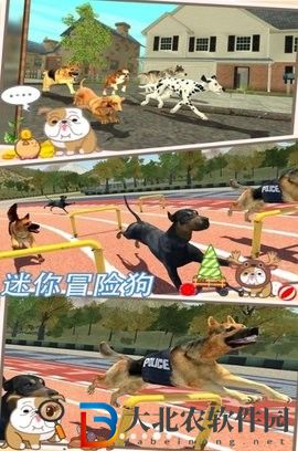 迷你冒險狗