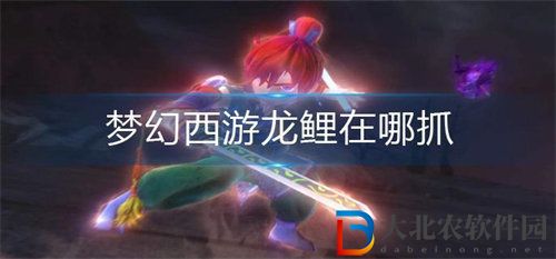 夢幻西游龍鯉捕捉攻略