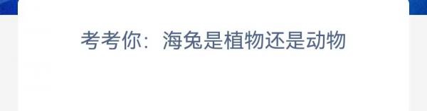 神奇海洋正確答案4.12-考考你海兔是植物還是動(dòng)物