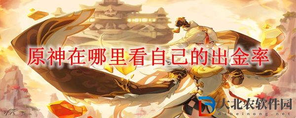 原神在哪里看自己的出金率