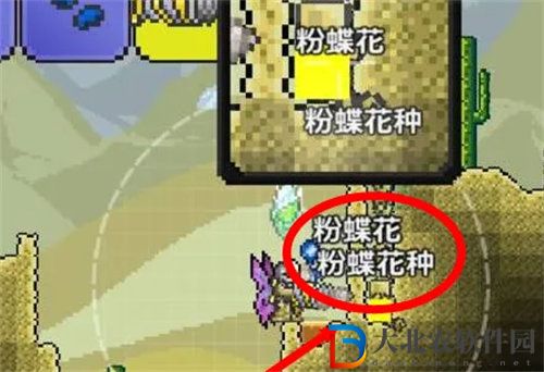 泰拉瑞亞粉蝶花獲取攻略