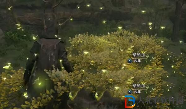 霍格沃茨之遺草蛉蟲在哪-霍格沃茨之遺草蛉蟲位置