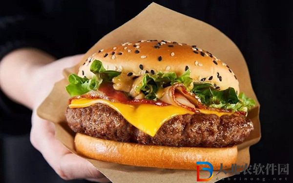 麥當勞漢堡好好好麥當勞薯條條條條是什么歌