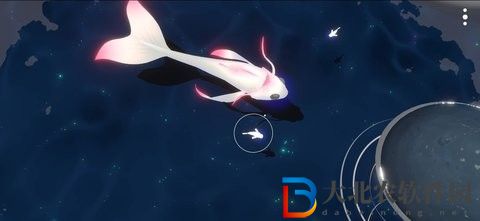 鯉重制版