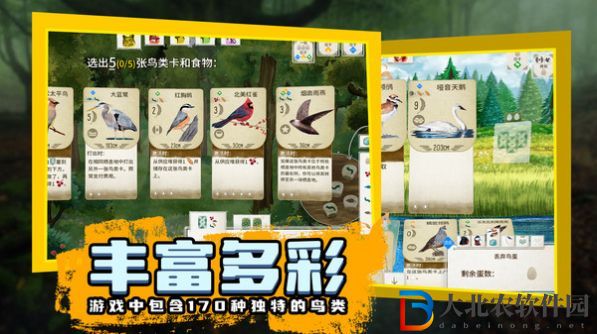 鳥類觀察家