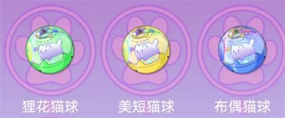 貓之城怎么訓練貓球-貓之城訓練貓球攻略