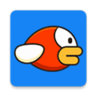 飛揚的賽鳥