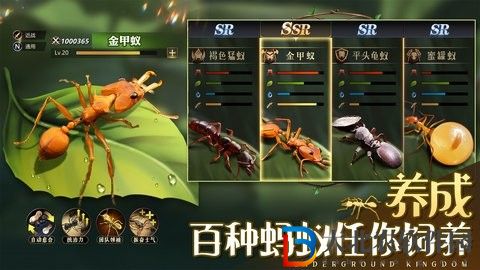 小小蟻國