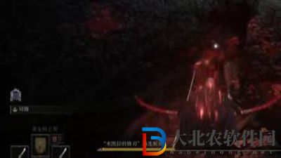 艾爾登法環水鳥亂舞怎么躲-水鳥亂舞躲避方法介紹