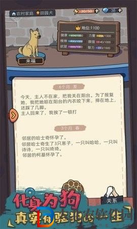 你好狗好喜歡