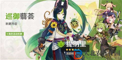 原神草元素角色強度介紹