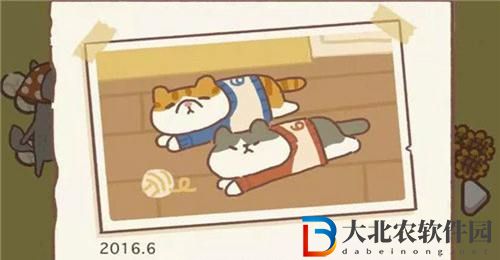 布偶動物的餐廳怎么升星-布偶動物的餐廳升星竅門介紹