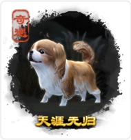 劍三奇遇大全-劍三奇遇觸發(fā)前置條件-劍網(wǎng)3所有奇遇攻略