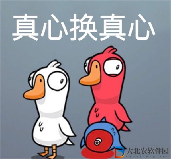 鵝鴨殺真心換真心意思解析
