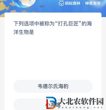 神奇海洋8月2日答案-下列選項中被稱為打孔巨匠的海洋生物是