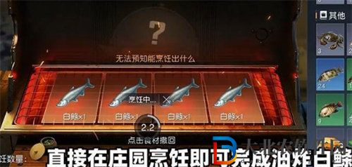 黎明覺醒釣白鰷魚魚餌詳情介紹