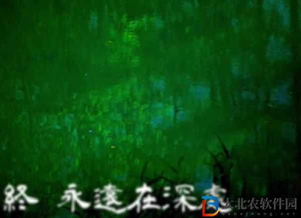 人魚沼結(jié)局介紹-人魚沼的四種結(jié)局解析
