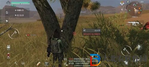 黎明覺醒杜松木怎么獲得 黎明覺醒杜松木獲取方法攻略