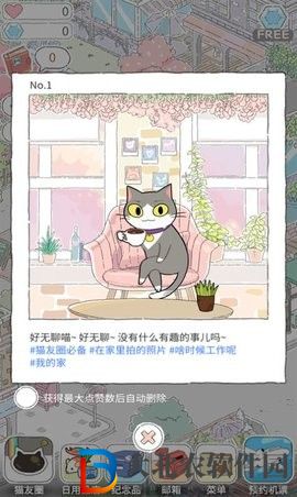 貓友圈貓咪的旅行