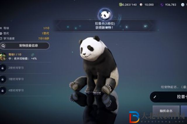 黑色沙漠手游熊貓怎么獲得-熊貓任務攻略