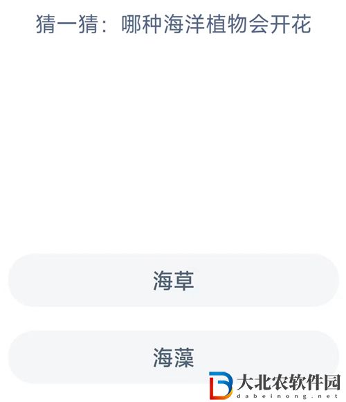 神奇海洋今日答案最新9.2-哪種海洋植物會(huì)開花