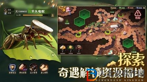 小小蟻國
