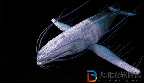 妄想山海萬年鯤怎么進化 妄想山海萬年鯤進化攻略